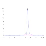 SEC-HPLC - Recombinant Human uPAR Protein (Biotin) (C-terminal His and Avi Tag) (A331399) - Antibodies.com
