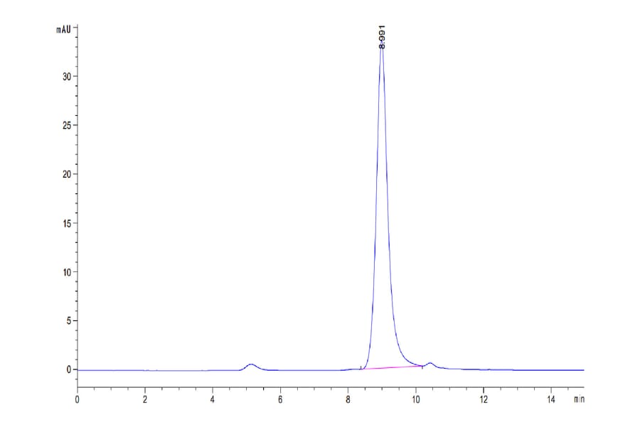 SEC-HPLC - Recombinant Human Urokinase Protein (Biotin) (C-terminal His and Avi Tag) (A331400) - Antibodies.com