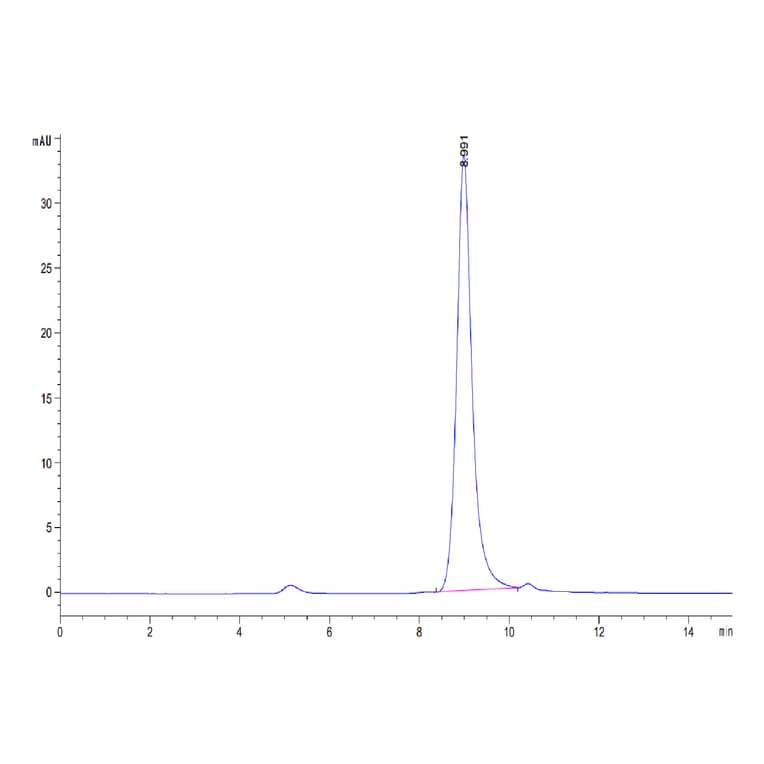 SEC-HPLC - Recombinant Human Urokinase Protein (Biotin) (C-terminal His and Avi Tag) (A331400) - Antibodies.com