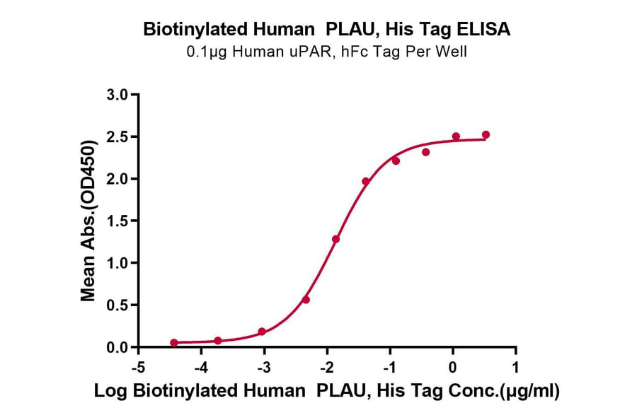 Standard Curve - Recombinant Human Urokinase Protein (Biotin) (C-terminal His and Avi Tag) (A331400) - Antibodies.com