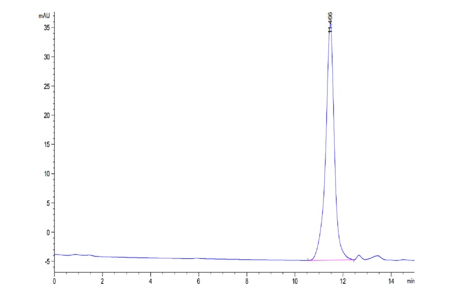 SEC-HPLC - Recombinant Human Urokinase Protein (C-terminal His Tag) (A331401) - Antibodies.com