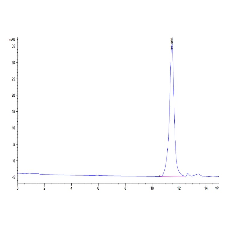 SEC-HPLC - Recombinant Human Urokinase Protein (C-terminal His Tag) (A331401) - Antibodies.com