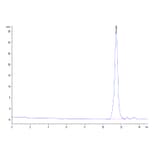 SEC-HPLC - Recombinant Human Urokinase Protein (C-terminal His Tag) (A331401) - Antibodies.com