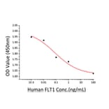 Cell Viability Assay - Recombinant Human VEGF Receptor 1 Protein (C-terminal His Tag) (A331406) - Antibodies.com
