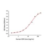 Standard Curve - Recombinant Human VEGF Receptor 2 Protein (C-terminal Human Fc and His Tag) (A331409) - Antibodies.com
