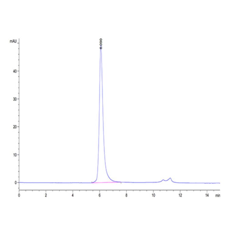SEC-HPLC - Recombinant Human VEGF Receptor 2 Protein (Biotin) (C-terminal His and Avi Tag) (A331410) - Antibodies.com