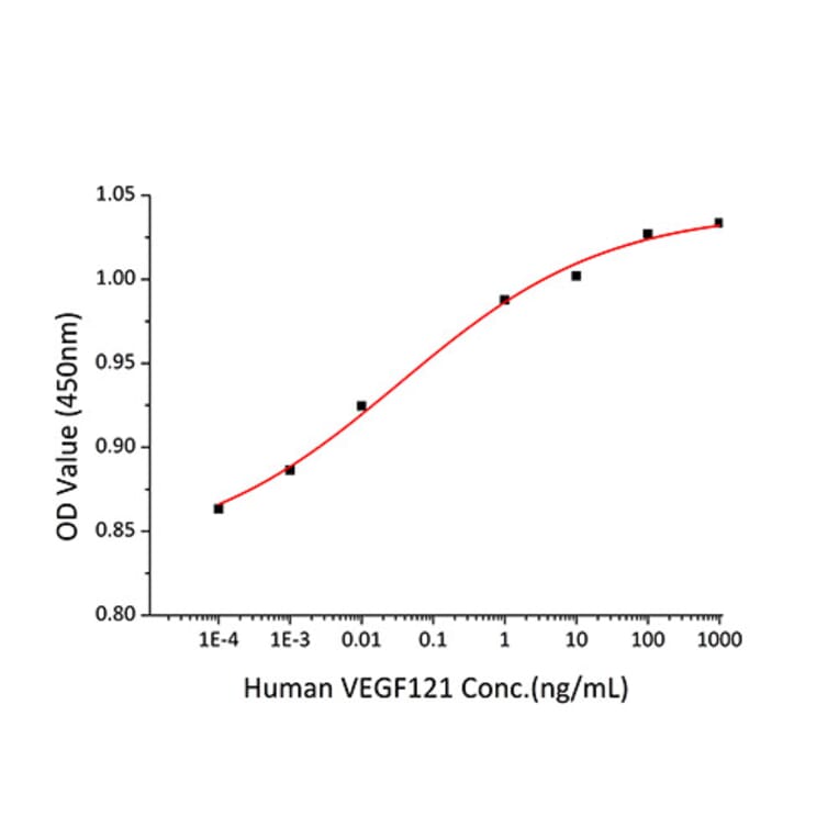 Proliferation Assay - Recombinant Human VEGFA Protein (A331413) - Antibodies.com