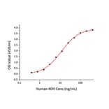Standard Curve - Recombinant Human VEGFA Protein (N-terminal His Tag) (A331414) - Antibodies.com