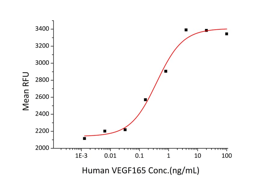Proliferation Assay - Recombinant Human VEGFA Protein (N-terminal His Tag) (A331414) - Antibodies.com