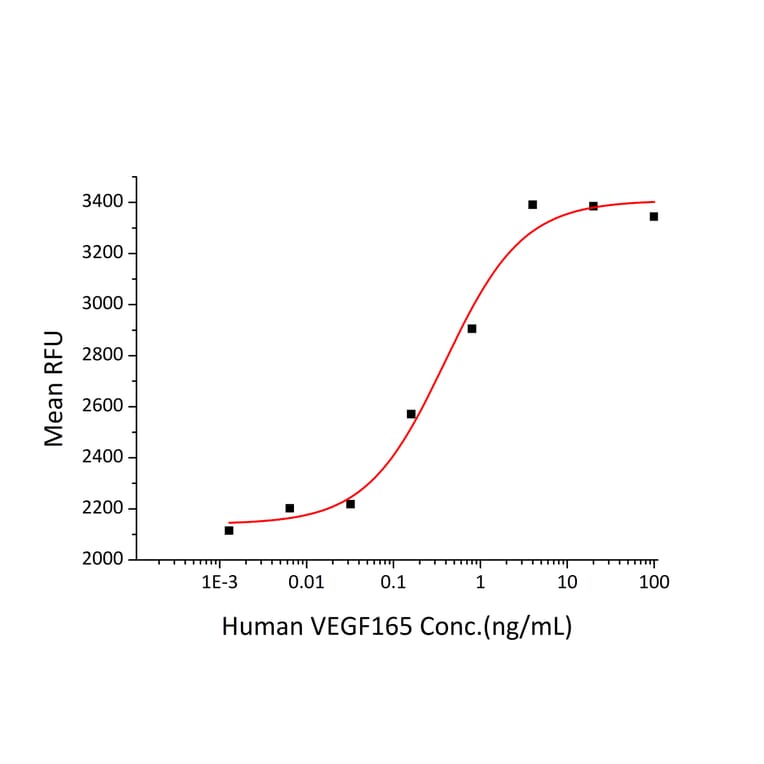 Proliferation Assay - Recombinant Human VEGFA Protein (N-terminal His Tag) (A331414) - Antibodies.com