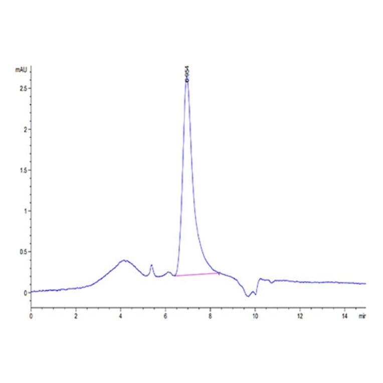 SEC-HPLC - Recombinant Human VEGFA Protein (Biotin) (C-terminal His and Avi Tag) (A331415) - Antibodies.com