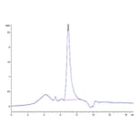 SEC-HPLC - Recombinant Human VEGFA Protein (Biotin) (C-terminal His and Avi Tag) (A331415) - Antibodies.com