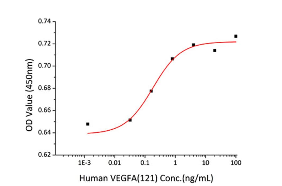 Proliferation Assay - Recombinant Human VEGFA Protein (N-terminal His Tag) (A331416) - Antibodies.com