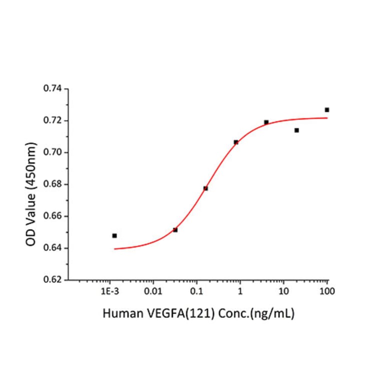 Proliferation Assay - Recombinant Human VEGFA Protein (N-terminal His Tag) (A331416) - Antibodies.com