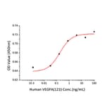 Proliferation Assay - Recombinant Human VEGFA Protein (N-terminal His Tag) (A331416) - Antibodies.com