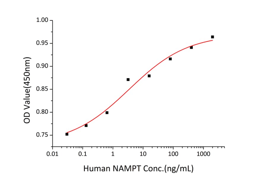 Proliferation Assay - Recombinant Human Visfatin Protein (A331421) - Antibodies.com