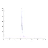 SEC-HPLC - Recombinant Human VISTA Protein (C-terminal Human Fc Tag) (A331426) - Antibodies.com