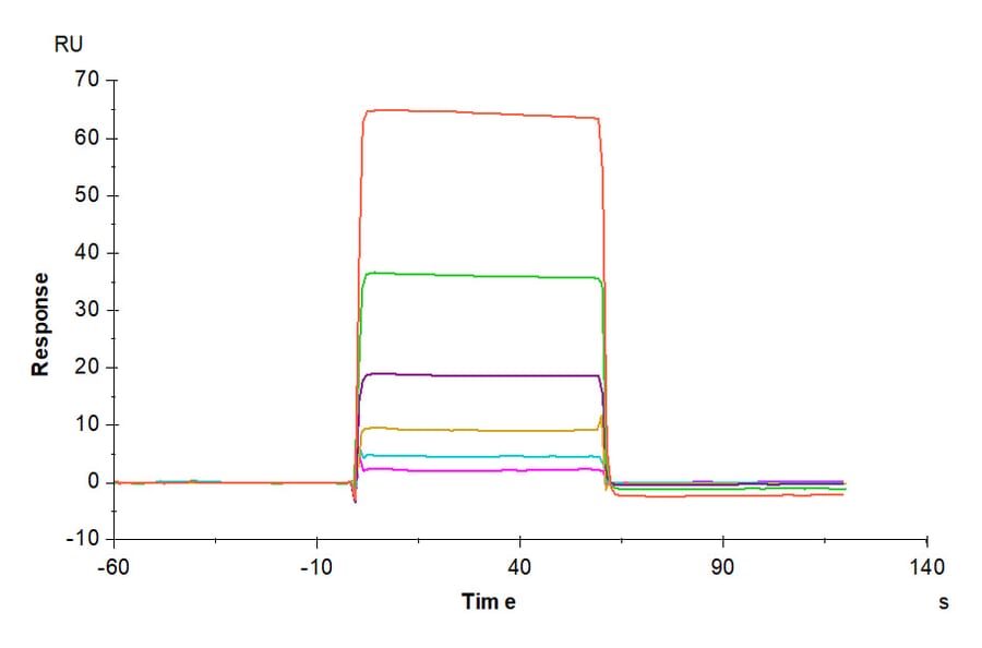 SPR Assay - Recombinant Human VISTA Protein (C-terminal Human Fc Tag) (A331426) - Antibodies.com