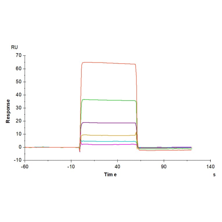 SPR Assay - Recombinant Human VISTA Protein (C-terminal Human Fc Tag) (A331426) - Antibodies.com