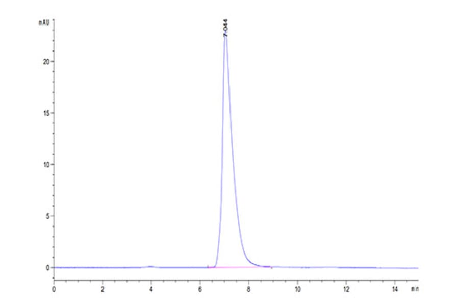 SEC-HPLC - Recombinant Mouse CD166 Protein (Biotin) (C-terminal His and Avi Tag) (A331444) - Antibodies.com