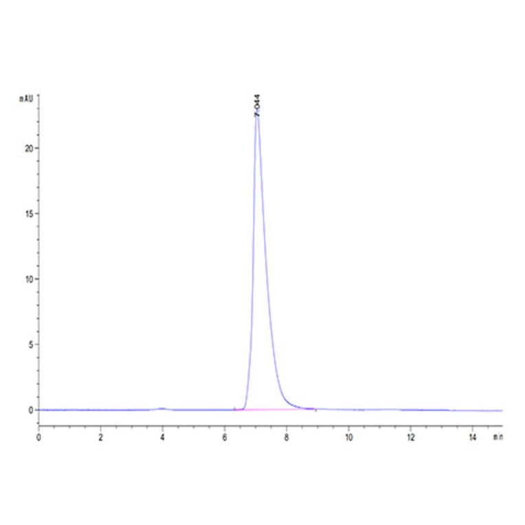 SEC-HPLC - Recombinant Mouse CD166 Protein (Biotin) (C-terminal His and Avi Tag) (A331444) - Antibodies.com