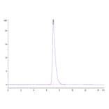 SEC-HPLC - Recombinant Mouse CD166 Protein (Biotin) (C-terminal His and Avi Tag) (A331444) - Antibodies.com