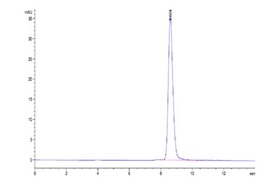 SEC-HPLC - Recombinant Cynomolgus macaque CD80 Protein (C-terminal His Tag) (A331461) - Antibodies.com