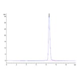 SEC-HPLC - Recombinant Cynomolgus macaque CD80 Protein (C-terminal His Tag) (A331461) - Antibodies.com
