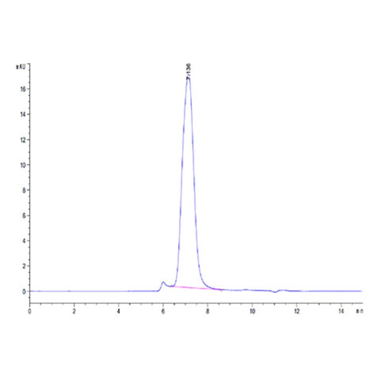 SEC-HPLC - Recombinant Cynomolgus macaque CD86 Protein (C-terminal His Tag) (A331464) - Antibodies.com