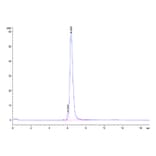 SEC-HPLC - Recombinant Cynomolgus macaque PD-L1 Protein (C-terminal Human Fc Tag) (A331470) - Antibodies.com