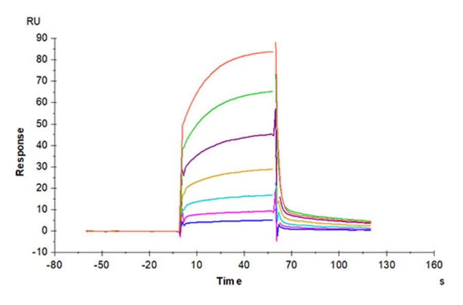SPR Assay - Recombinant Cynomolgus macaque PD-L1 Protein (C-terminal His Tag) (A331471) - Antibodies.com