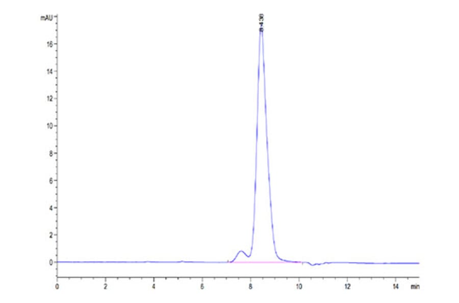 SEC-HPLC - Recombinant Cynomolgus macaque B7-H2 Protein (C-terminal His Tag) (A331475) - Antibodies.com