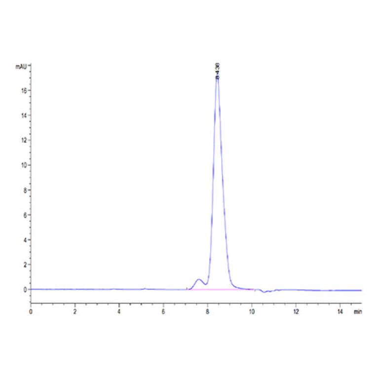 SEC-HPLC - Recombinant Cynomolgus macaque B7-H2 Protein (C-terminal His Tag) (A331475) - Antibodies.com