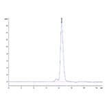 SEC-HPLC - Recombinant Cynomolgus macaque B7-H2 Protein (C-terminal His Tag) (A331475) - Antibodies.com