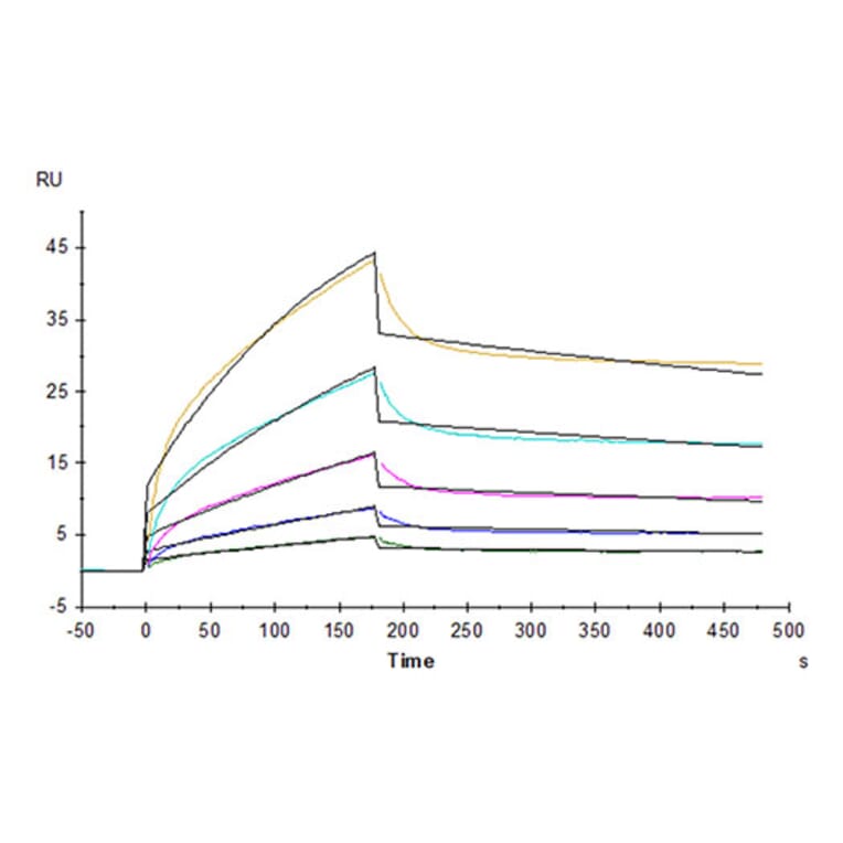 SPR Assay - Recombinant Cynomolgus macaque B7-H2 Protein (C-terminal His Tag) (A331475) - Antibodies.com