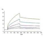 SPR Assay - Recombinant Cynomolgus macaque B7-H2 Protein (C-terminal His Tag) (A331475) - Antibodies.com