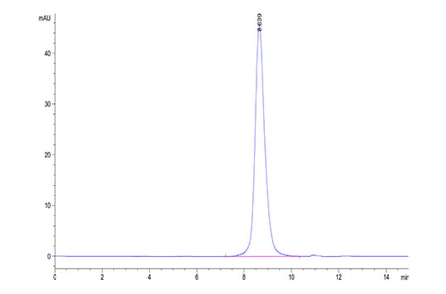 SEC-HPLC - Recombinant Cynomolgus macaque B7-H6 Protein (C-terminal His Tag) (A331480) - Antibodies.com
