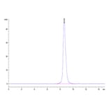 SEC-HPLC - Recombinant Cynomolgus macaque B7-H6 Protein (C-terminal His Tag) (A331480) - Antibodies.com