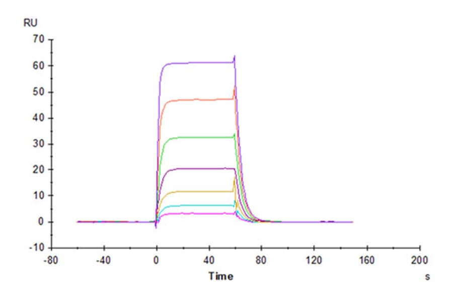 SPR Assay - Recombinant Cynomolgus macaque B7-H6 Protein (C-terminal His Tag) (A331480) - Antibodies.com