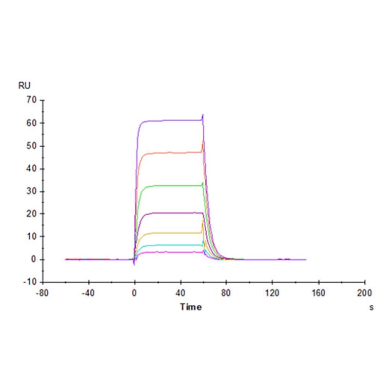 SPR Assay - Recombinant Cynomolgus macaque B7-H6 Protein (C-terminal His Tag) (A331480) - Antibodies.com
