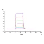 SPR Assay - Recombinant Cynomolgus macaque B7-H6 Protein (C-terminal His Tag) (A331480) - Antibodies.com