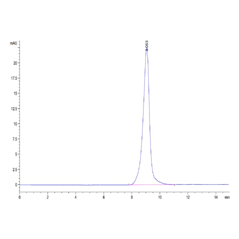SEC-HPLC - Recombinant Human CD147 Protein (C-terminal His Tag) (A331481) - Antibodies.com