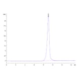 SEC-HPLC - Recombinant Human CD147 Protein (C-terminal His Tag) (A331481) - Antibodies.com