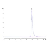 SEC-HPLC - Recombinant Cynomolgus macaque beta 2 Microglobulin Protein (C-terminal His Tag) (A331483) - Antibodies.com