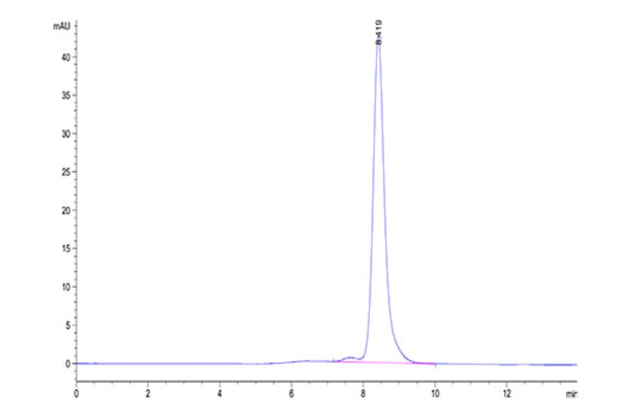 SEC-HPLC - Recombinant Mouse Calcitonin Protein (C-terminal Human Fc Tag) (A331487) - Antibodies.com