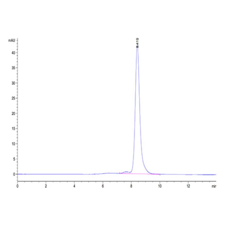 SEC-HPLC - Recombinant Mouse Calcitonin Protein (C-terminal Human Fc Tag) (A331487) - Antibodies.com