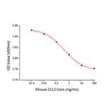 Cell Viability Assay - Recombinant Mouse MCP1 Protein (A331494) - Antibodies.com