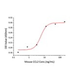 Chemoattraction assay - Recombinant Mouse MCP1 Protein (A331494) - Antibodies.com