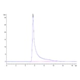 SEC-HPLC - Recombinant Mouse RANTES Protein (N-terminal Human Fc Tag) (A331498) - Antibodies.com