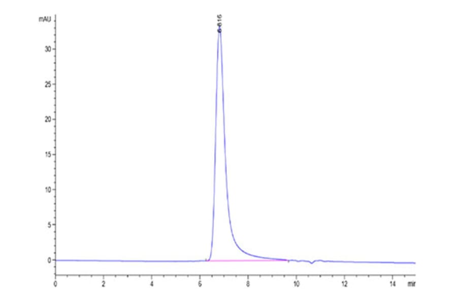 SEC-HPLC - Recombinant Human CD200R Protein (Biotin) (C-terminal His and Avi Tag) (A331502) - Antibodies.com